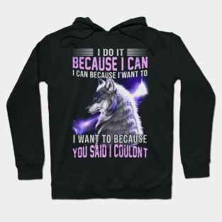 I do it because I can. I can because I want to Hoodie